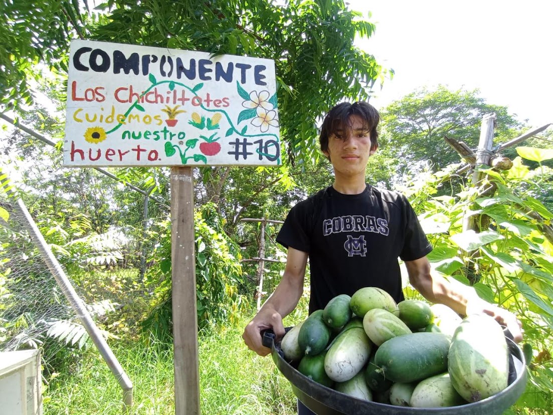 Seguridad Alimentaria y Nutricional